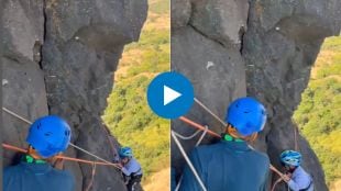 little kid climbing on tail-baila fort viral video