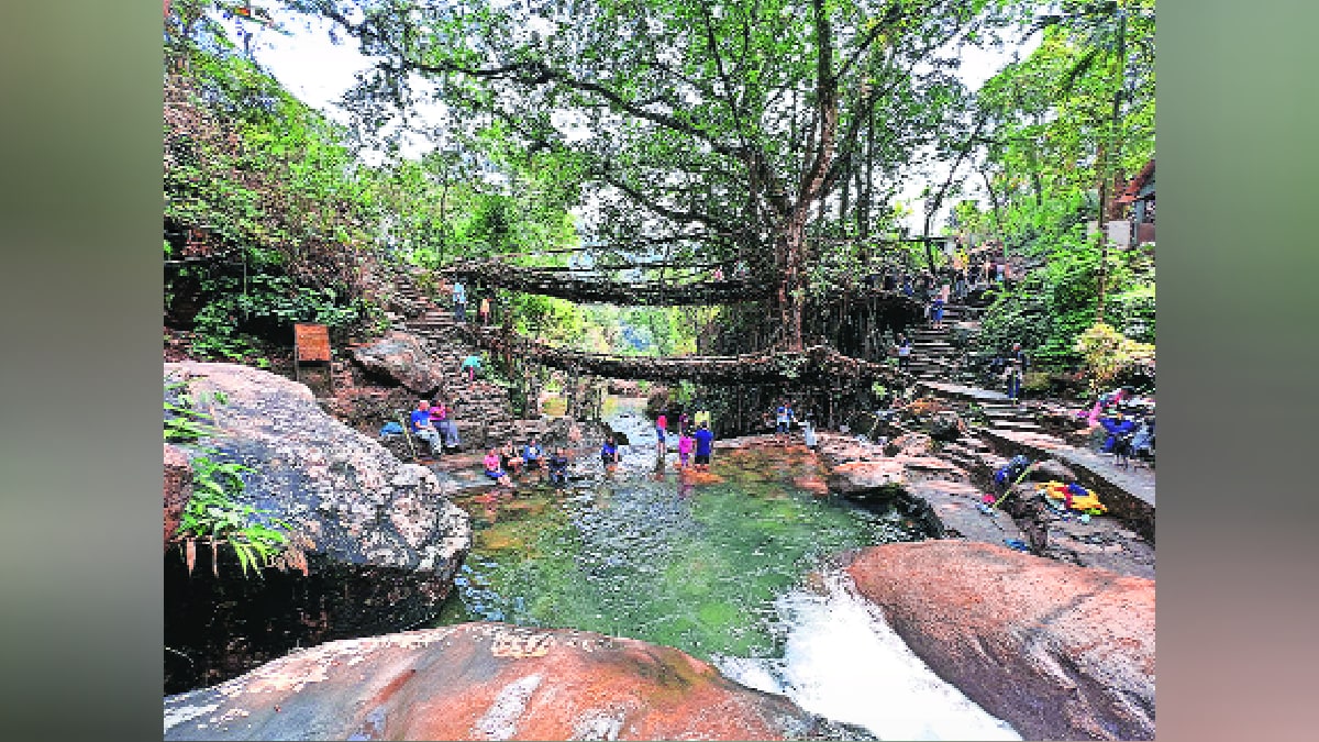 Loksatta lokrang Double decker trek Meghalaya