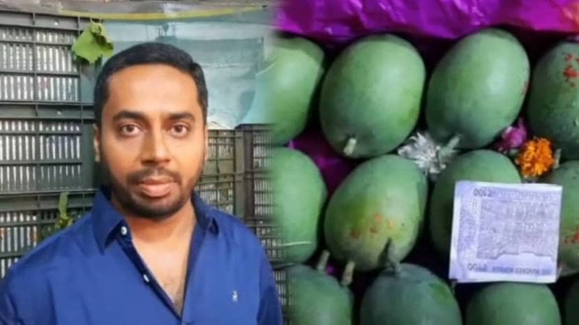 First Mango Of The 2024 Reached APMC Navi Mumbai and Pune Check Prices Of Mango This Year One Piece of Aam At 400 Rupees