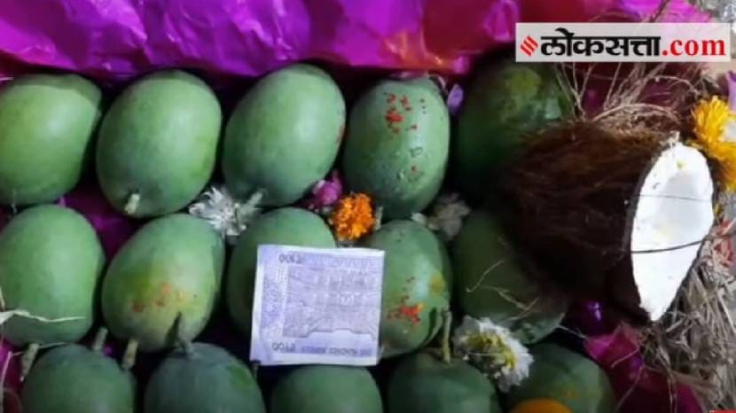 First Mango Of The 2024 Reached APMC Navi Mumbai and Pune Check Prices Of Mango This Year One Piece of Aam At 400 Rupees
