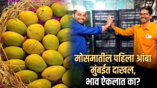 First Mango Of The 2024 Reached APMC Navi Mumbai and Pune Check Prices Of Mango This Year One Piece of Aam At 400 Rupees