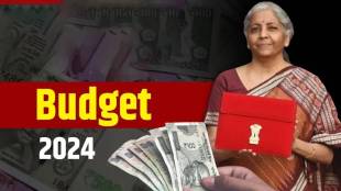 nirmala sitharaman to present interim budget