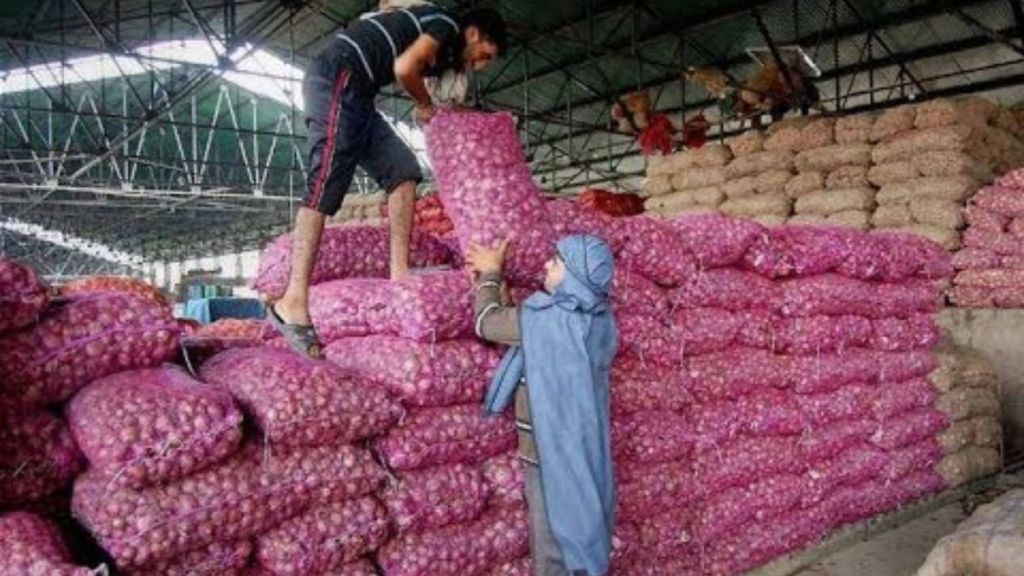 Onion price continues to fall in Solapur