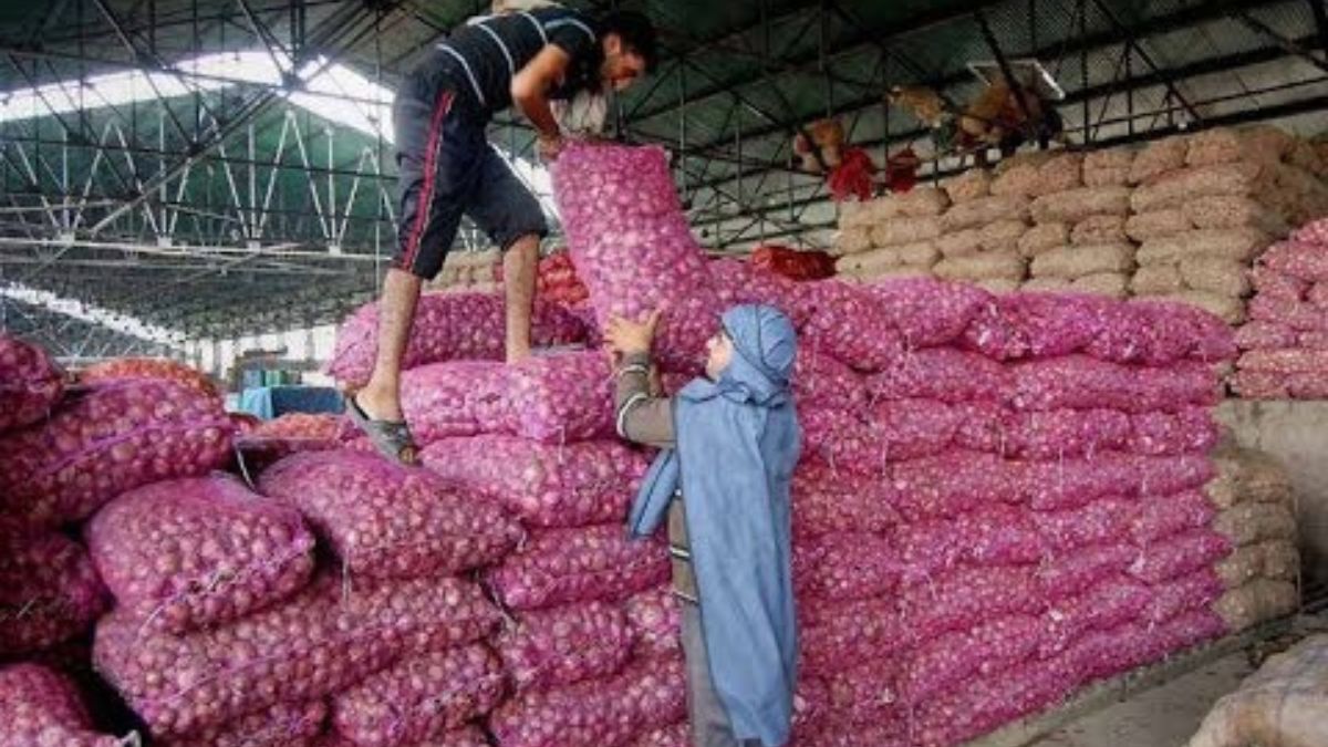 Onion price continues to fall in Solapur