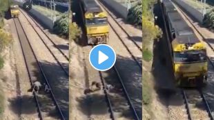 a Man save dog from train accident