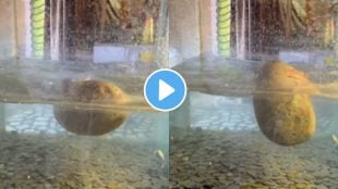 Ram Setu floating stones video