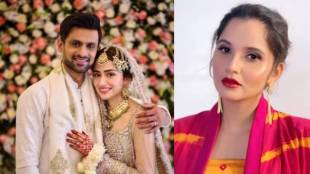 sania mirza and shoaib malik divorced