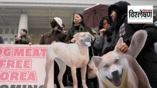 south korea dog meat ban