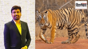 tiger deaths increase 2023 What factors cause tiger deaths article by sawan bahekar