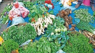 There is a huge demand for buying vegetables on the occasion of Sankrant palghar