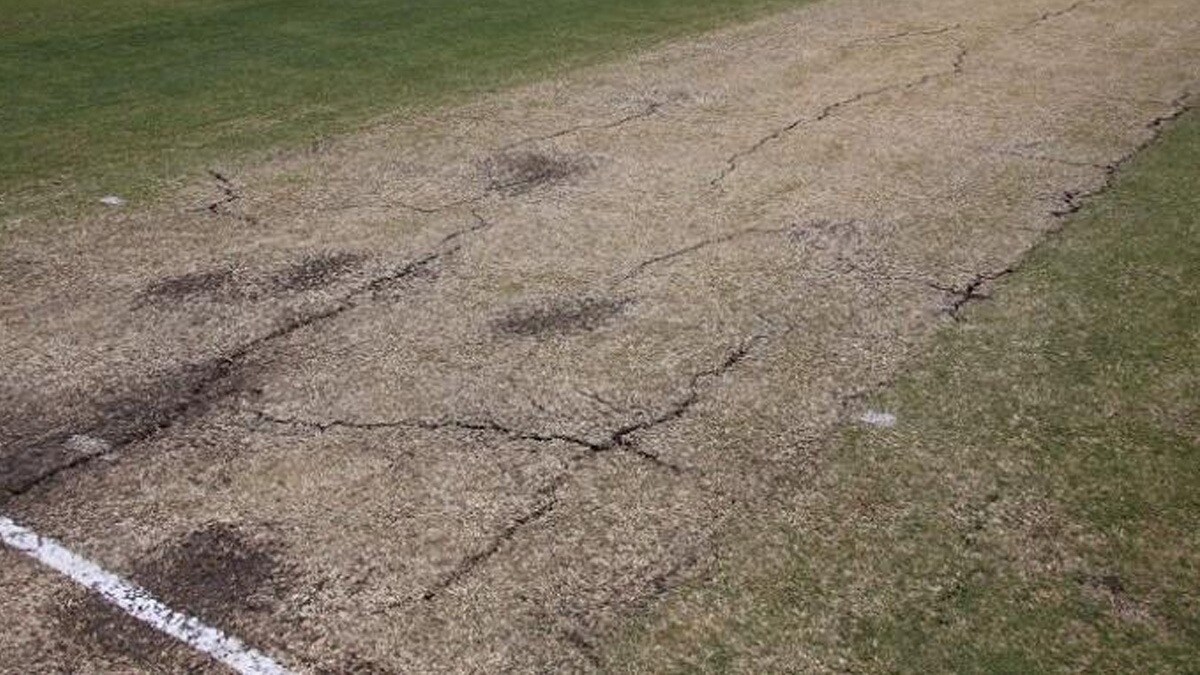 cricket pitch