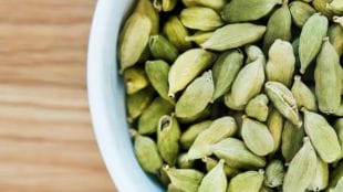 Cardamom Farming