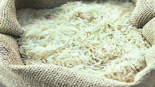 Big increase in basmati exports 15 percent increase in exports is possible by the end of financial year