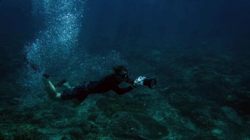 best scuba diving destination in india pm modi enjoys diving in gujarat panchkuian beach