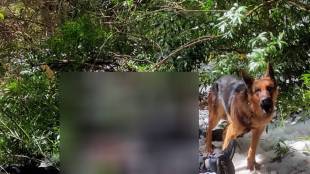 Pet dog guards bodies of 2 trekkers