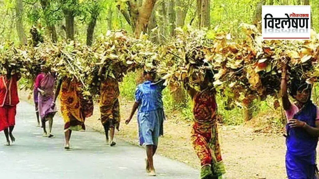 Loksatta explained Why implementation of Forest Rights Act stalled