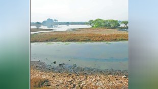 High court orders decision on Panje watershed within 12 weeks