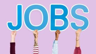 Kalyan Dombivli Mahanagarpalika recruitment 2024 job news