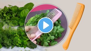 Kitchen Jugaad Video