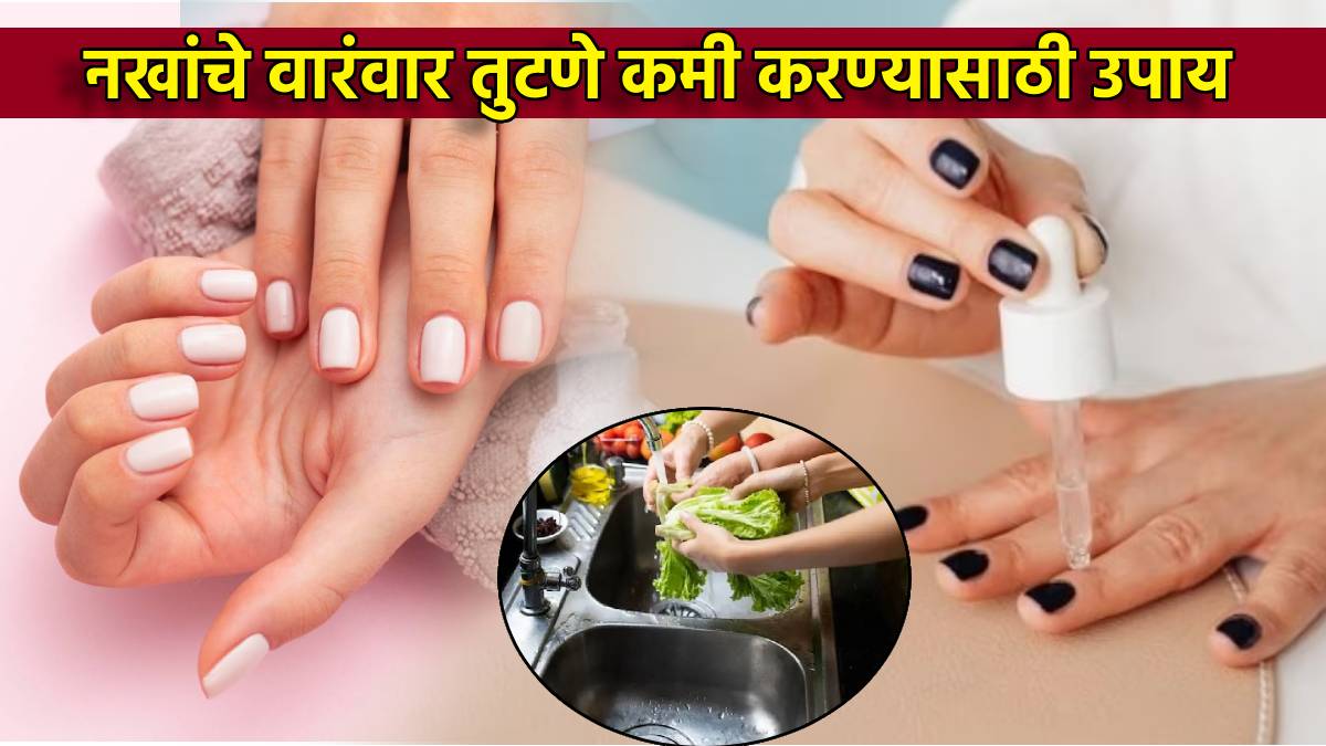NailArt tutorial03/Marathi NailArt/Nailart shika/Basic nailart  tutorial/Nailart for beginners - YouTube