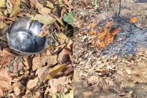 police spoiled Naxalites big assassination plan by Destroy the explosives