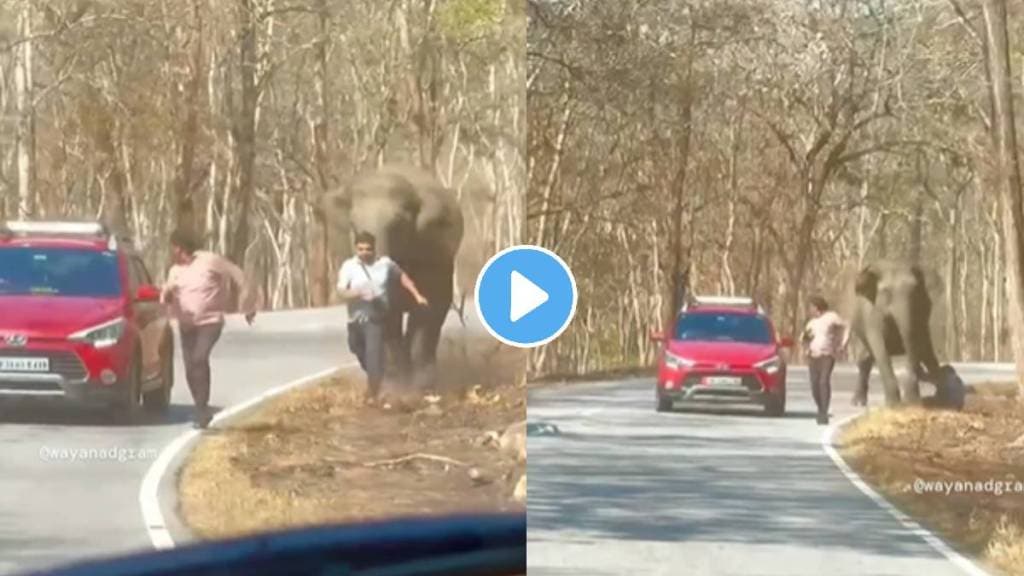 Elephant Attacked On man In kerala wayanad tourist places Wild Animal Dangerous Video
