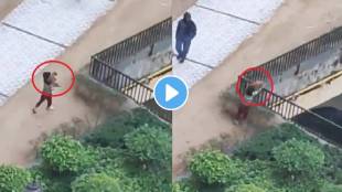 7-year-old boy throws puppy from 20 feet in Noida, video viral