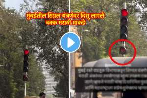 marathi figures display on signal system in Mumbai occasion of marathi bhasha gaurav din 2024 viral video