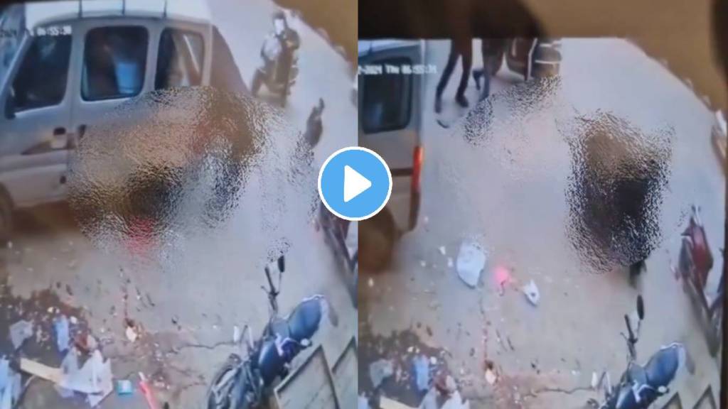 42-Year-Old Man Mauled To Death By Stray Cow In Delhi Horrific Video