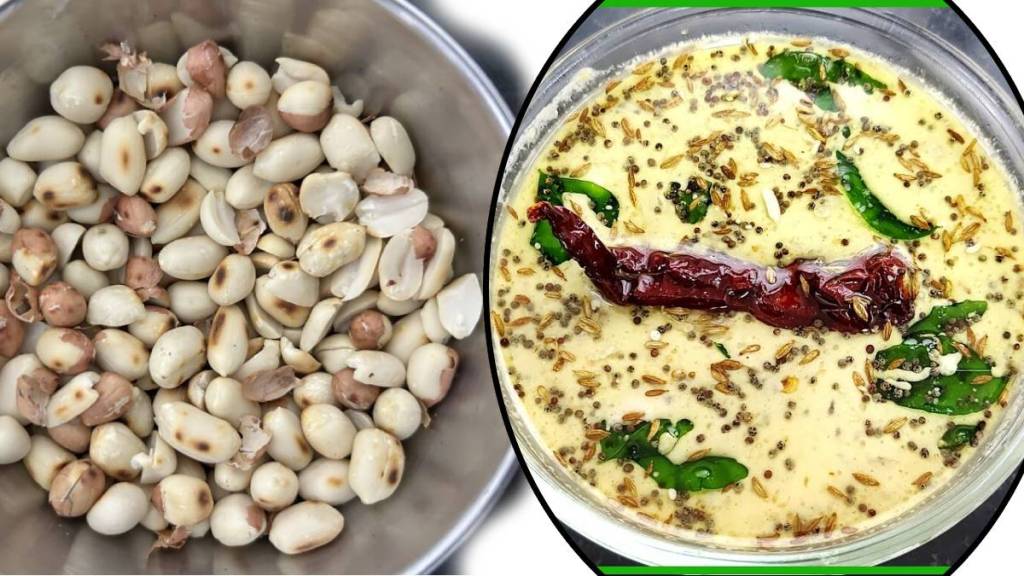 Shengdana Chutney Recipe khandeshi recipe