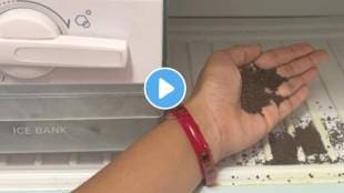 keep soil in fridge kitchen jugaad video