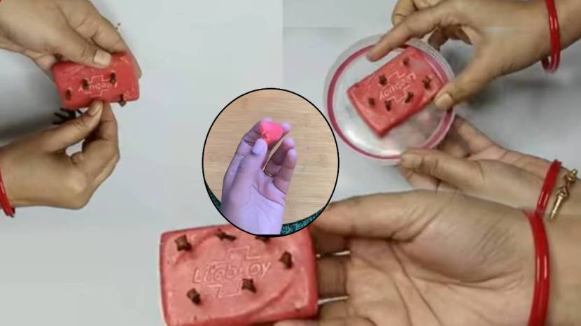 Kitchen Tips In Marathi Put Clove In Your Bath Soap
