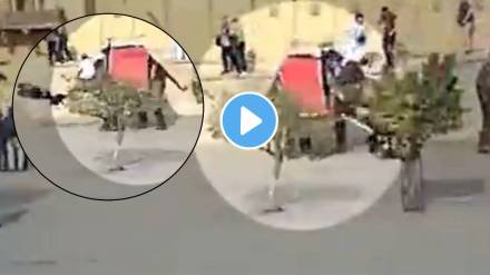 Amer Mahal Elephent Gauri attacked russian tourist shocking video