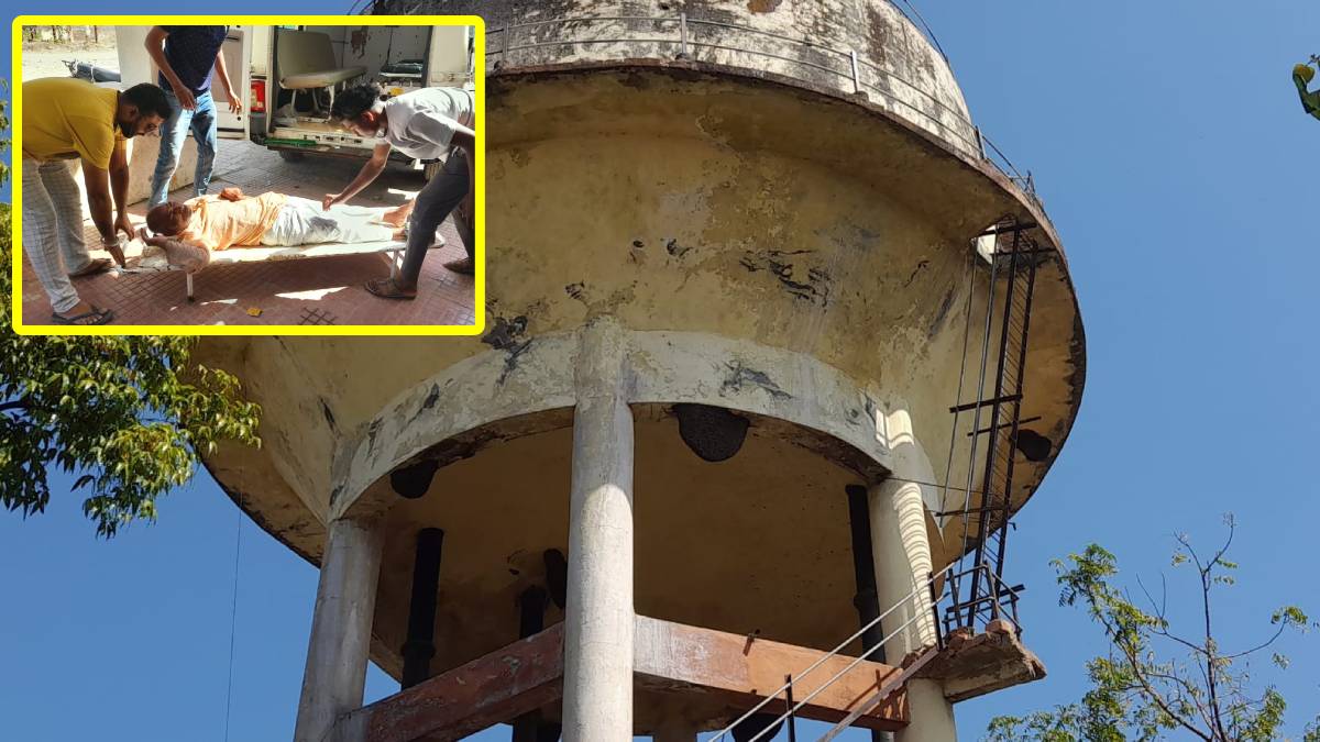 Bees attack citizens chandur bazar