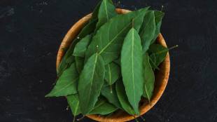 What Happens When You Consume Daily Curry leaves Here are Some Health Solution You Must Know about