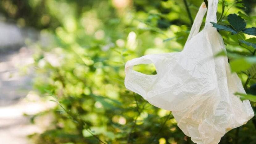 Best Out Of Waste Eight things You Can Recycle In You Home For Home Decoration Must Read