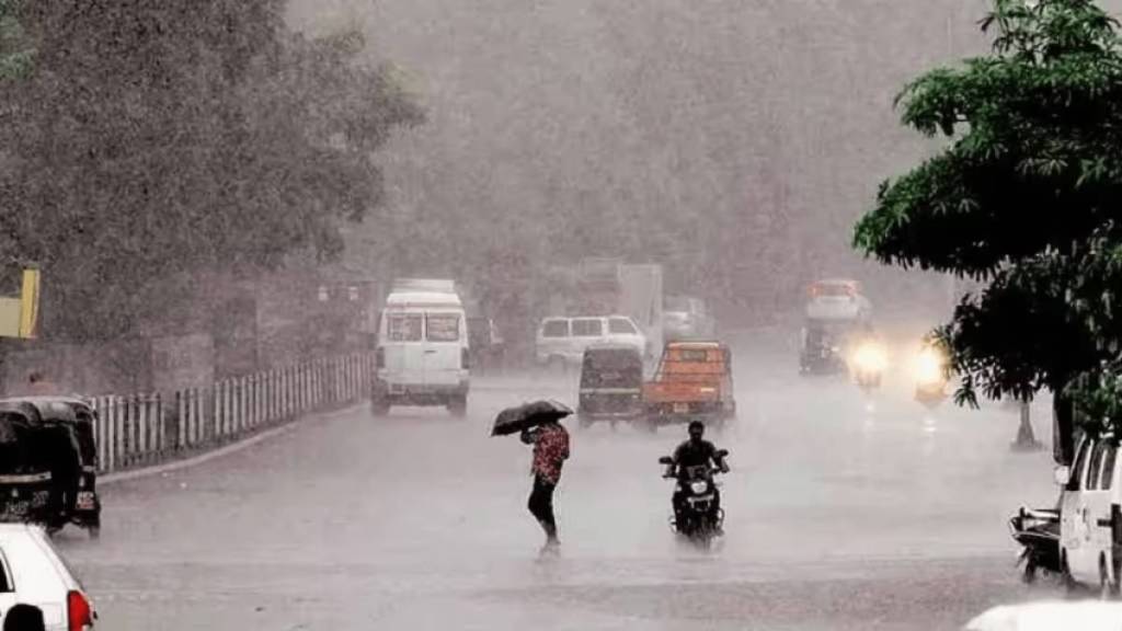 rain in Vidarbha