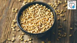 Health Benefits of 100 gram Wheat contains Nutritional powerhouse those who include it in their diet