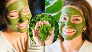 4 Homemade Tulsi Face Masks To Get Blemish-Free And Clear Skin