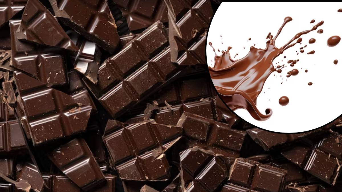 Chocolate Day 2024 डार्क चॉकलेट खात आहात? जाणून घ्या डार्क चॉकलेट