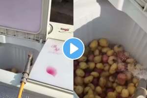 man used washing machine to peel potatoes video going viral