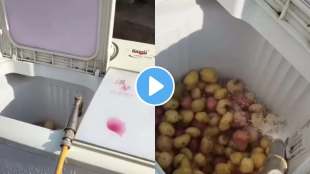 man used washing machine to peel potatoes video going viral