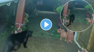 Black Panther roaming around a house in Tamil Nadu