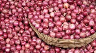 Onion Export Ban Lift