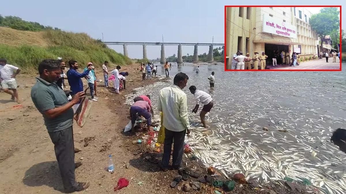 Municipal Corporation fined Rs 90 crore for Krishna river pollution