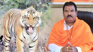 Sanjay Gaikwad hunted tiger