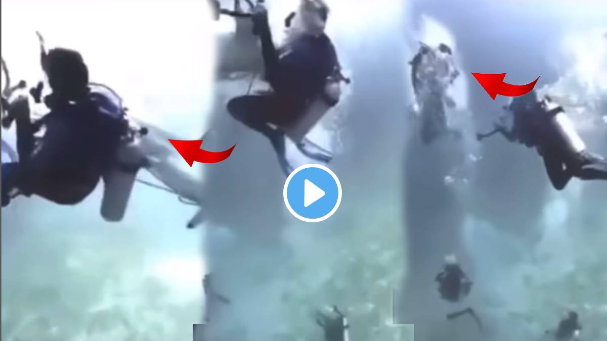 Dangerous moment shark attacked a group of tourist divers in the Maldives Scuba Diving Failures Spooky Video Viral