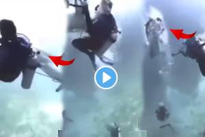 Dangerous moment shark attacked a group of tourist divers in the Maldives Scuba Diving Failures Spooky Video Viral