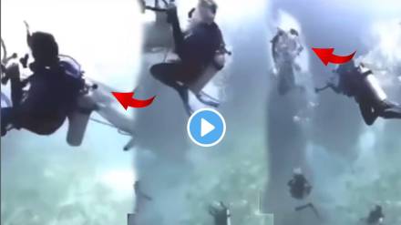 Dangerous moment shark attacked a group of tourist divers in the Maldives Scuba Diving Failures Spooky Video Viral