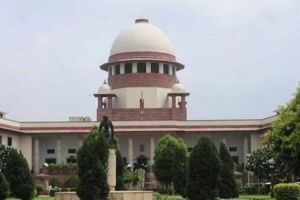 Supreme Court rejects pre-arrest bail to accused Thakur brothers in Tadoba online booking scam